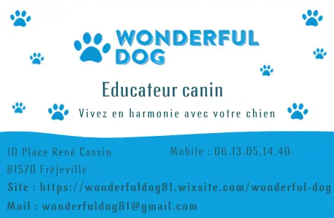 Wonderful Dog
