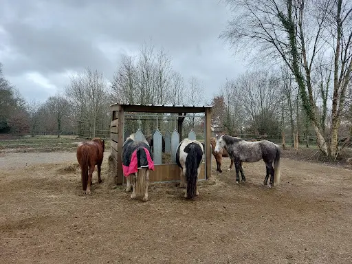 Domaine Equestre aux Prés d'Ulysse