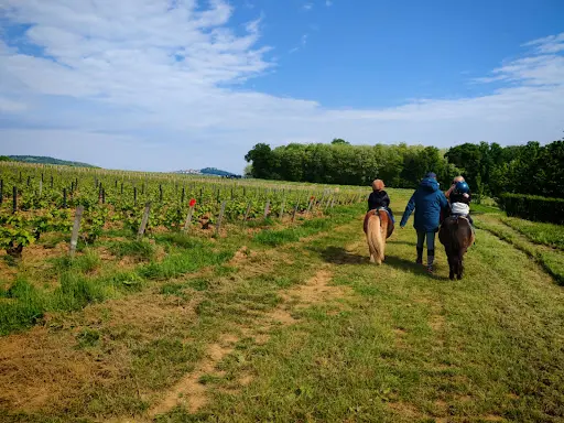 Domaine Equibien-être