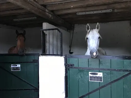 Les Ecuries de la Mennerie