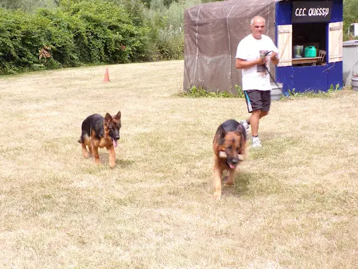 Mon Chien et Moi