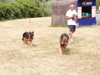 Mon Chien et Moi