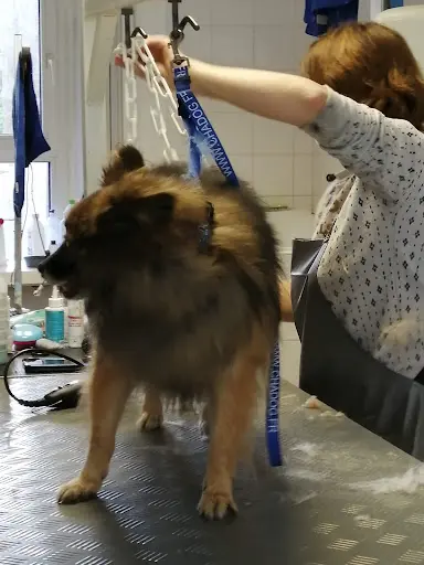 Au Peigne du Chien Theix