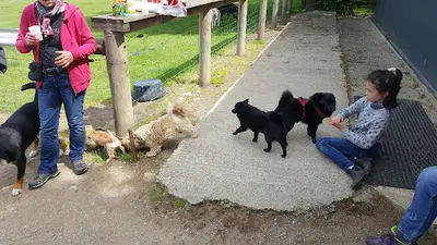 Club Canin Vannetais