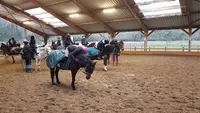 Poneyland de Thiais