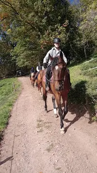 Les Écuries du Champ du Vent
