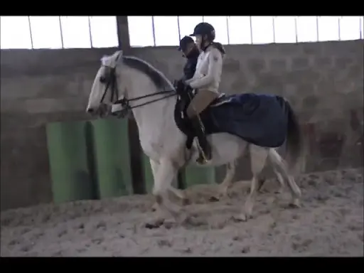 Equitation Française & Patrimoine Equestre