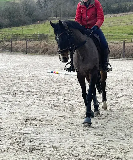 Ecurie des Sources
