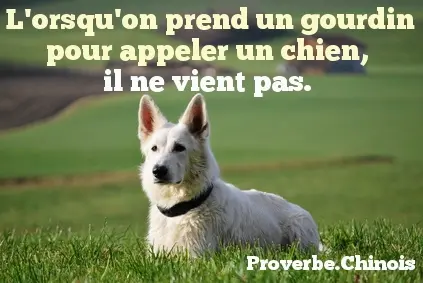 La Main À la Patte