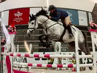 Centre Equestre Shg Grignon