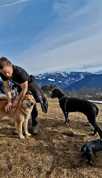 Dogs Relational Health
