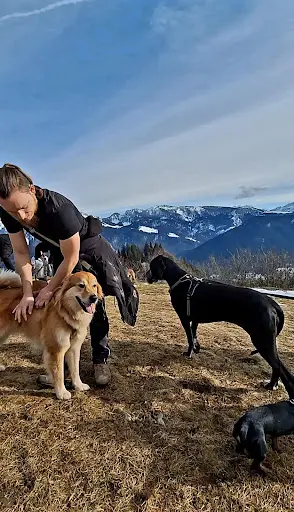 Dogs Relational Health