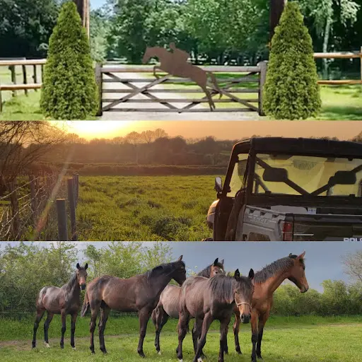 Haras des Passions