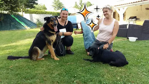 Hélios Éducation Canine en Vendée, Éducatrice Canin Comportementaliste Diplôme d'État, Médiation Animale Avec les Chiens.