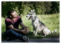 Doggy Learn - Éducateur Canin Comportementaliste Secteur Cambrai, Valenciennes et Alentours