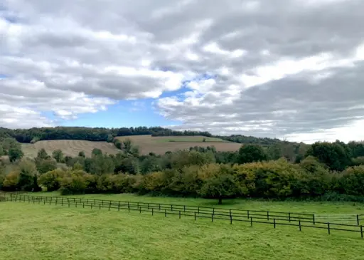 Haras de Belzo