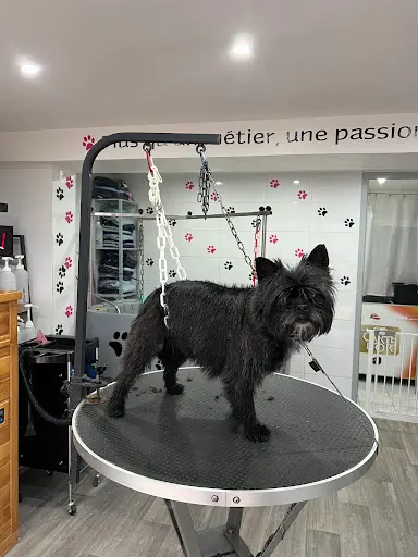 l'Atelier Canin