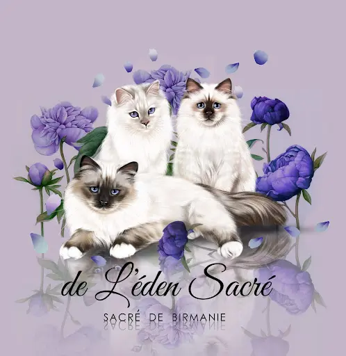 Chatterie de l'Éden Sacré