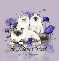 Chatterie de l'Éden Sacré
