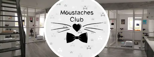 Moustaches Club