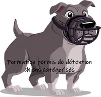 Smiling Dog Educateur Canin Comportementaliste