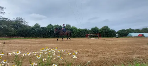 Haras de Rox