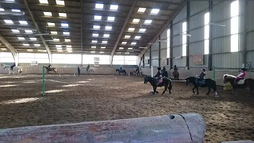 Haras de Siva / Etrier Cherbourgeois