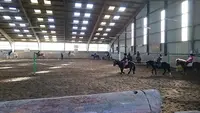 Haras de Siva / Etrier Cherbourgeois