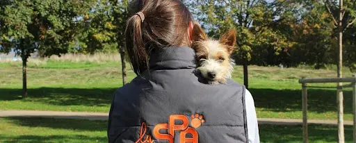 La Société Protectrice des Animaux (spa) - Refuge du Cotentin