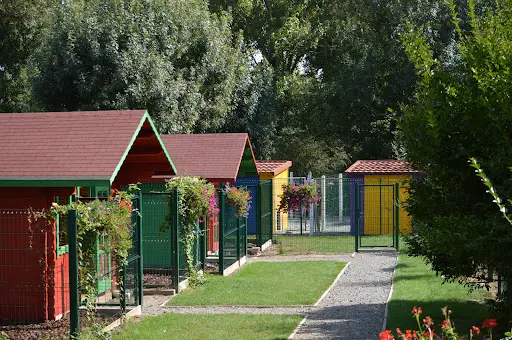 Le Marais de Saintonge - Pension & Élevage