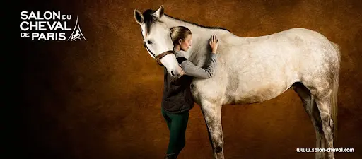 Univers Equestre