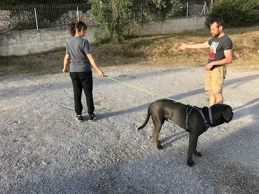 Mont Croc - Éducateur et Comportement Canin / Formation aux Premiers Secours Canin et Félin