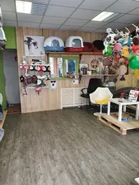 Animaux Service