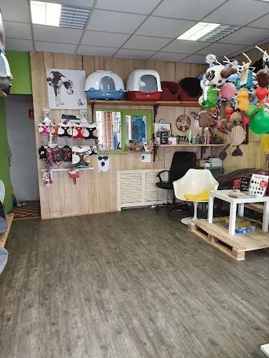 Animaux Service