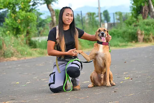 Cassius & Co Éducateur Canin