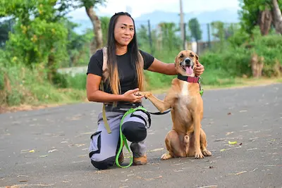 Cassius & Co Éducateur Canin