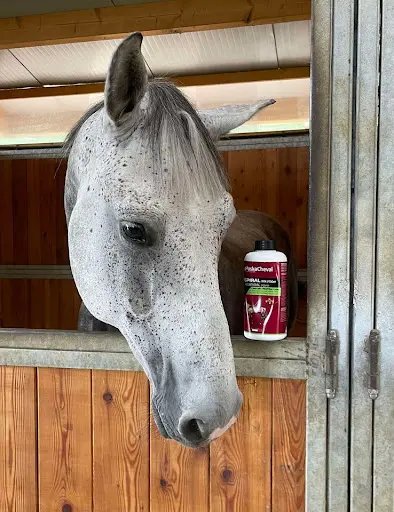 Equi-sud