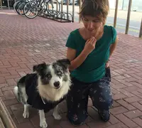 Oh My Pet !