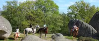 Blue Shade Ranch