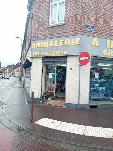 Animalerie de la Croix Rouge