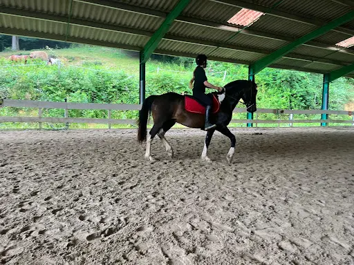 Cla Haras