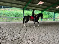 Cla Haras