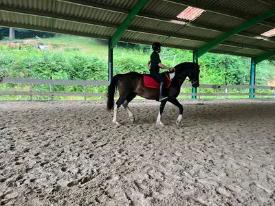 Cla Haras