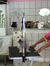 Métamorph Os
