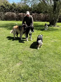 Le Jardin des Chiens