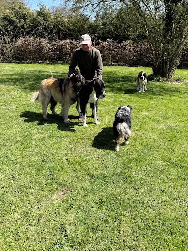 Le Jardin des Chiens