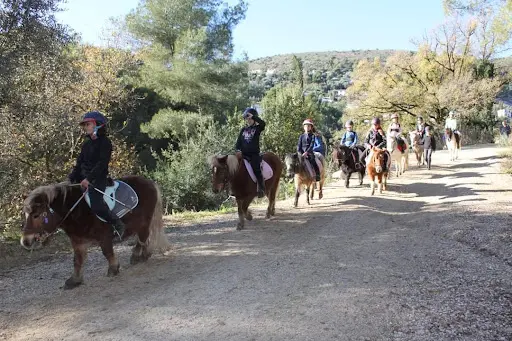 Ferme Equestre des Oliviers