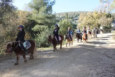 Ferme Equestre des Oliviers