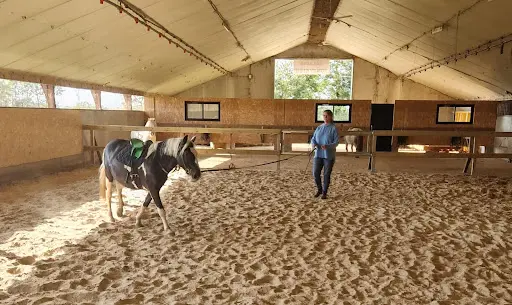 Talavia Poney Club