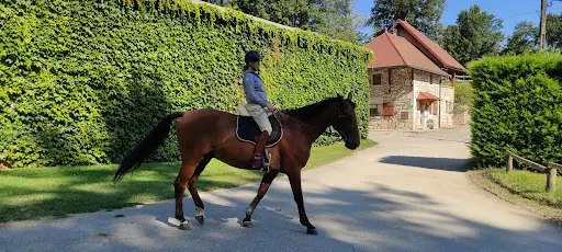 Haras de Botozel